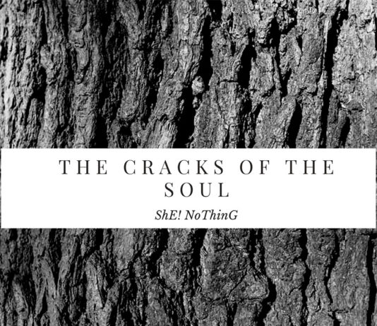 ShE!NoThinG: fuori ovunque “The cracks of the soul”, il debut album che ci porta tra le crepe dell’anima verso la luce